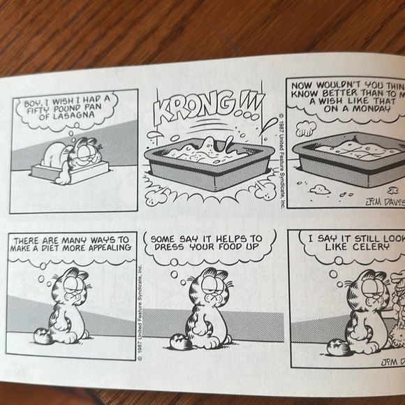 Garfield Rounds Out, His 16th Book - Picture 6 of 8